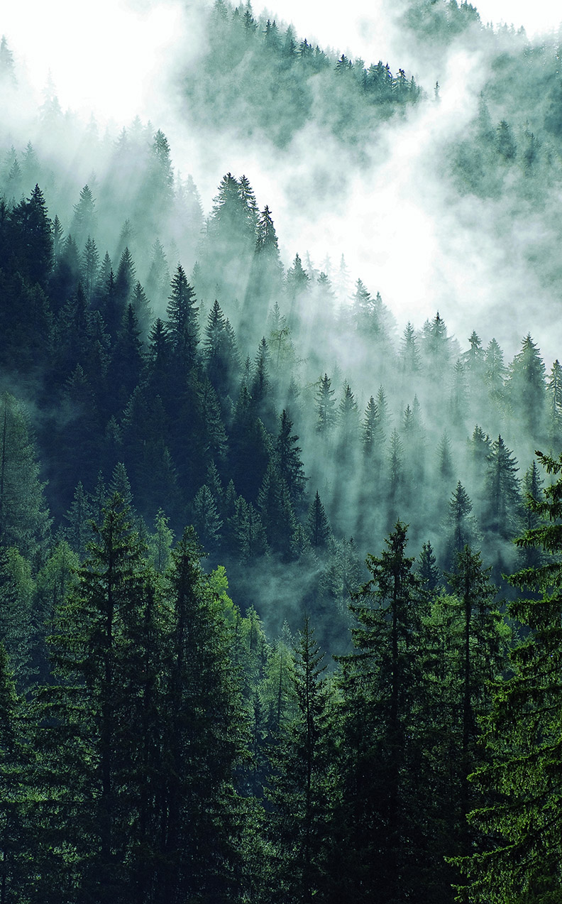 environnement et santé