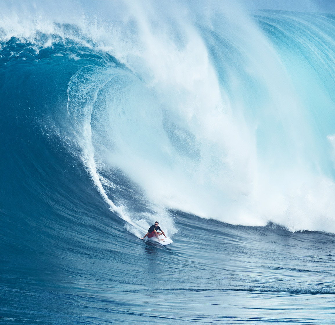 épigénétique, surfer la vie