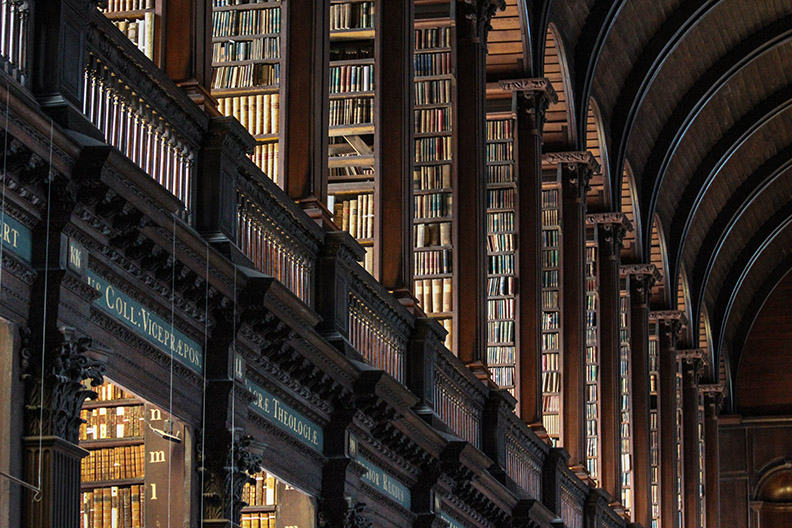 bibliothèque universitaire